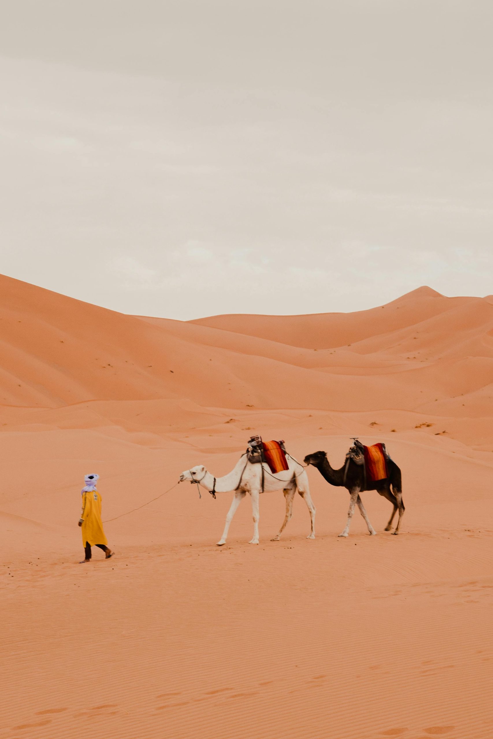 Sahara Desert Morocco private tour